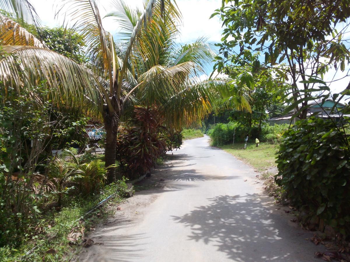 Pandan Beach Homestay Kampong Pandan Exterior foto